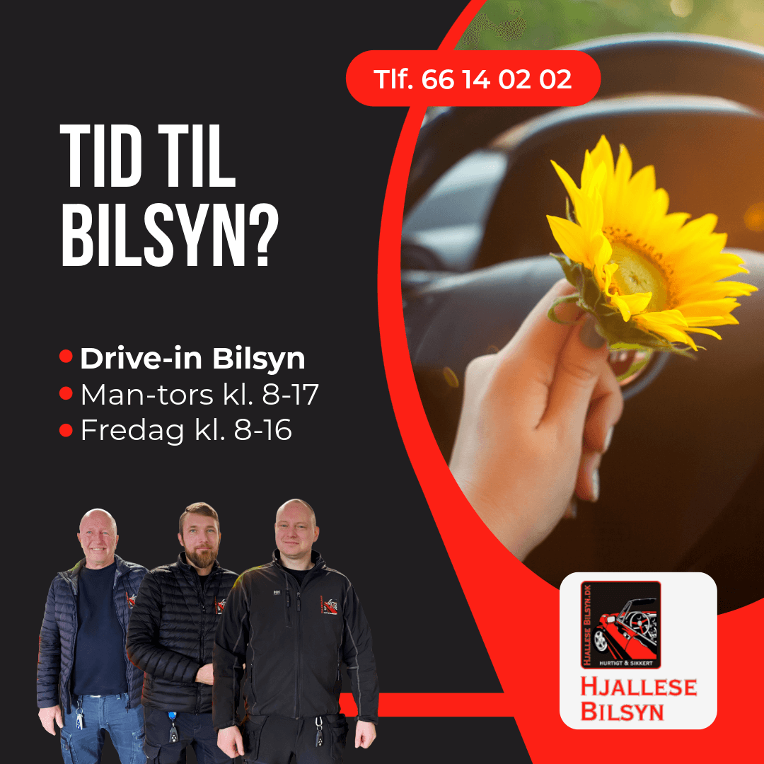 Tid til bilsyn? Tid til bilsyn?